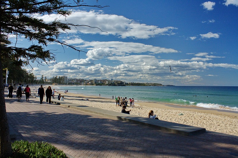 2009-11-06 22-06-18_5.jpg - auf dieser Reise haben wir es endlich auch mal nach Manly geschafft...